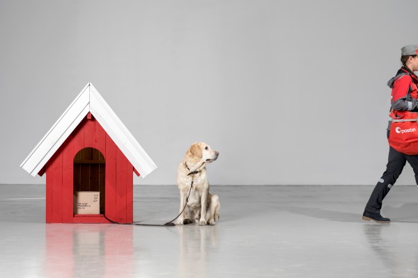 Dog outside a dog house and mailman left a parcel inside the dog house.