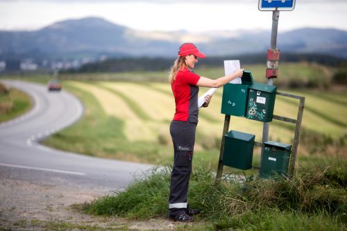 Mailman delivering mail in mailboxes