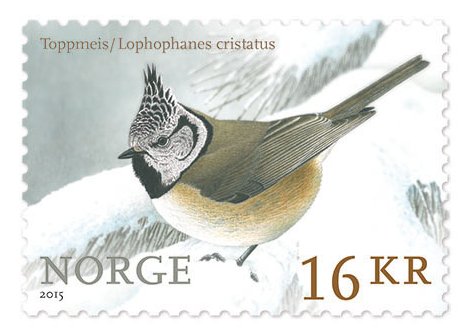 1897