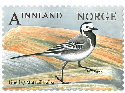 NK 1919