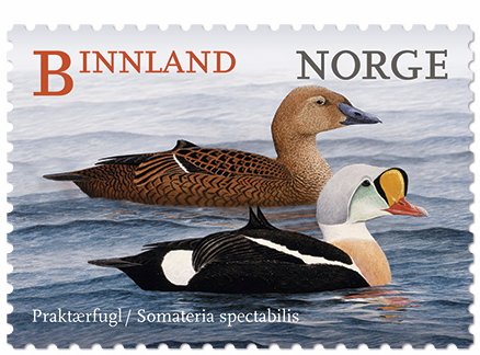 NK 1917