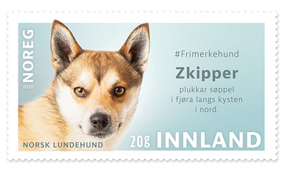 NK 2034