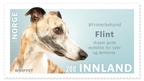 Frimerke med hunden Flint